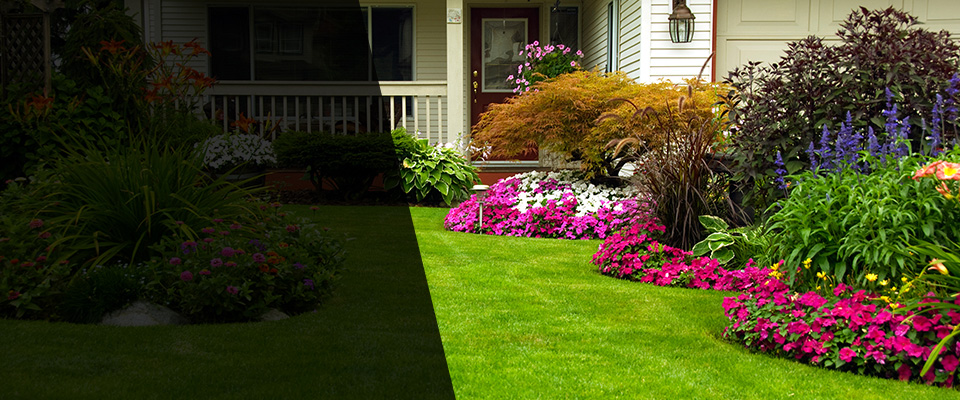 Aromas Landscapers