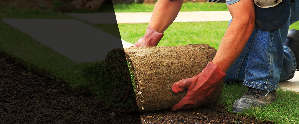 Aromas Landscapers